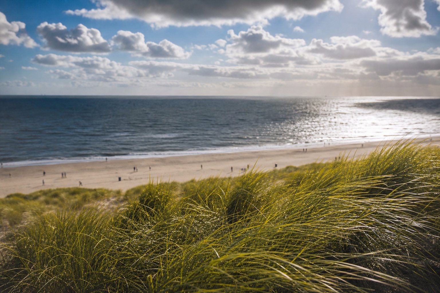 Essentially The Hague – donderdag 17 september 2026