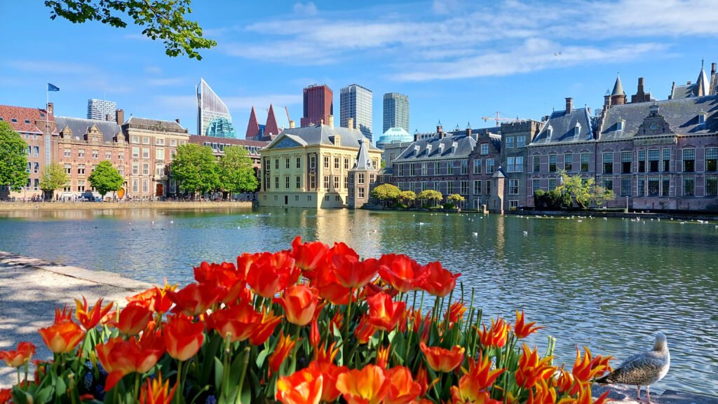 2022_Hofvijver_The_Hague_Netherlands_07
