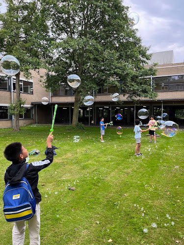 Chinese School Delft