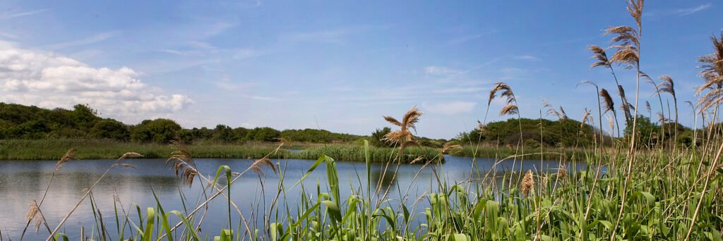 Dunea excursions