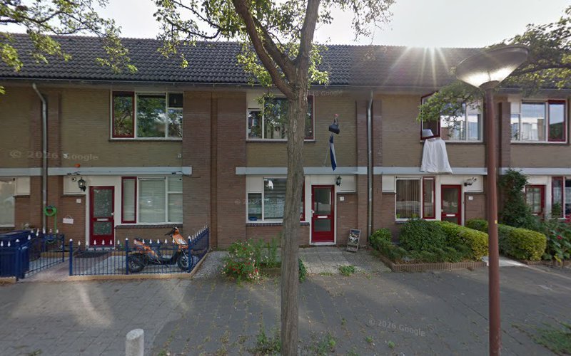 Gastouder Liekiesleeuwtjes