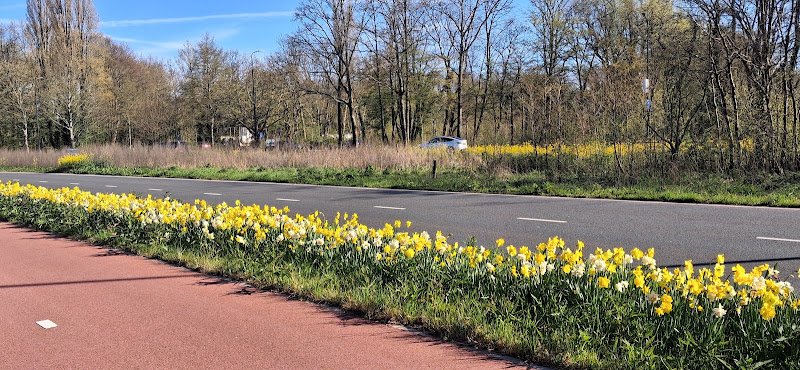 Stichting Rijswijkse Kinderopvang, Van Vredenburchweg