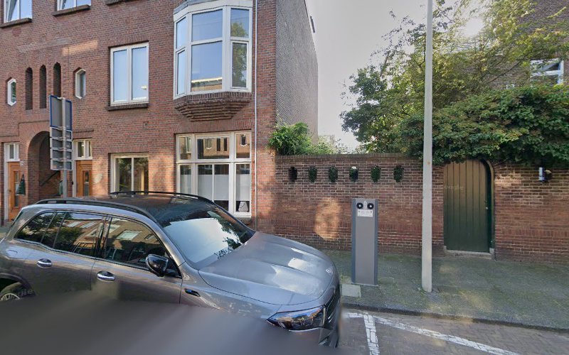 de Lentebloesem