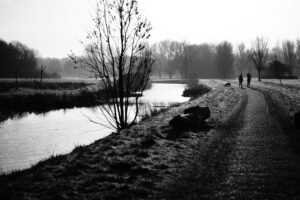 Walking the dog in a Dutch park