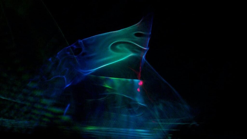 Double Bill: Sound and Vision at SoundHouse